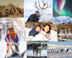 January - Arctic & Polar Regions-1-1