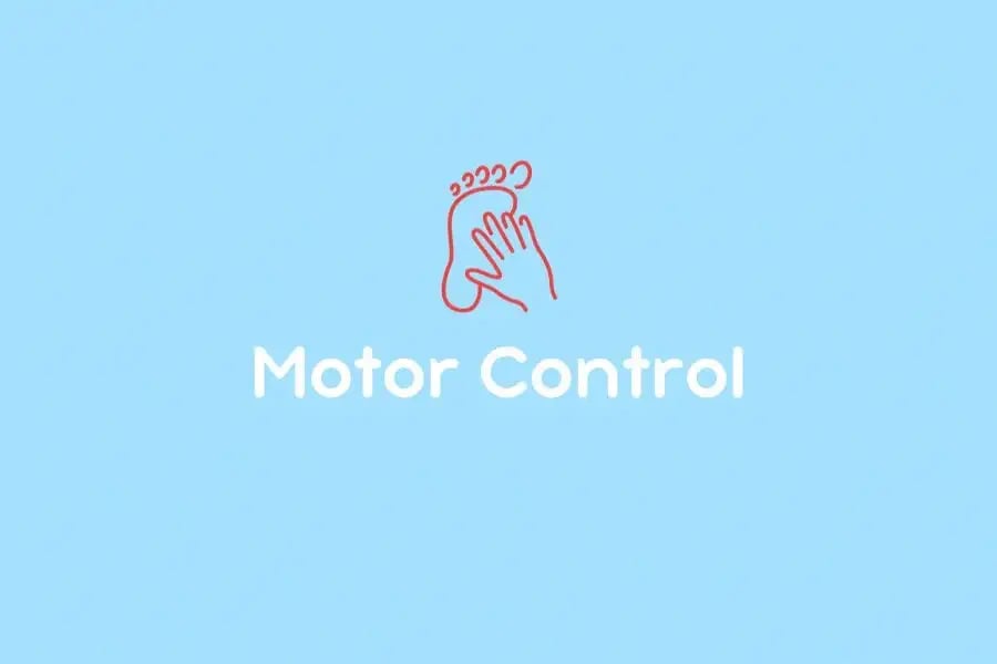 Motor Control