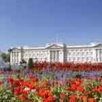 Buckingham-Palace-1