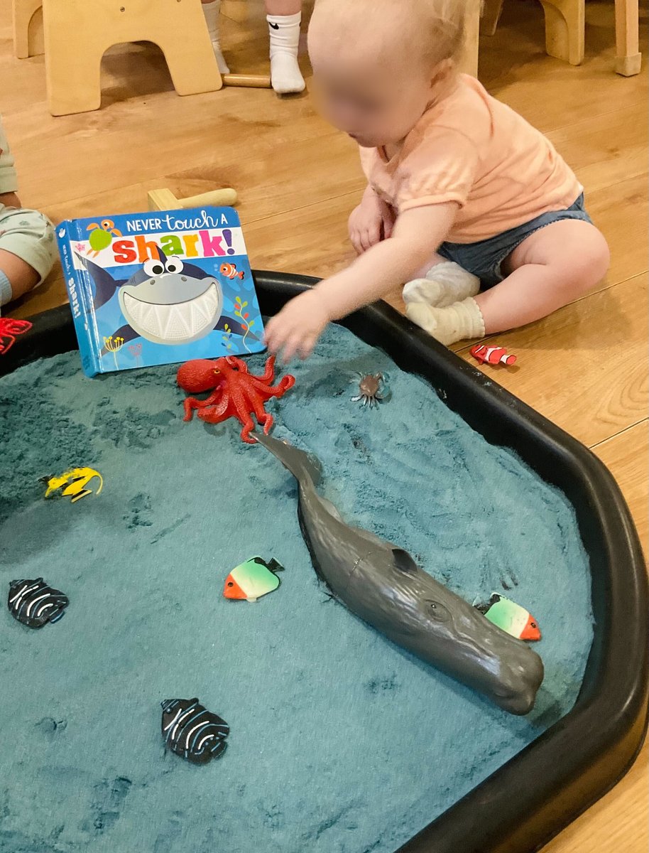 IMG_7991 - Edited (1)