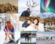 January---Arctic-&-Polar-Regions-compress